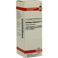 Solidago Virga D12 null