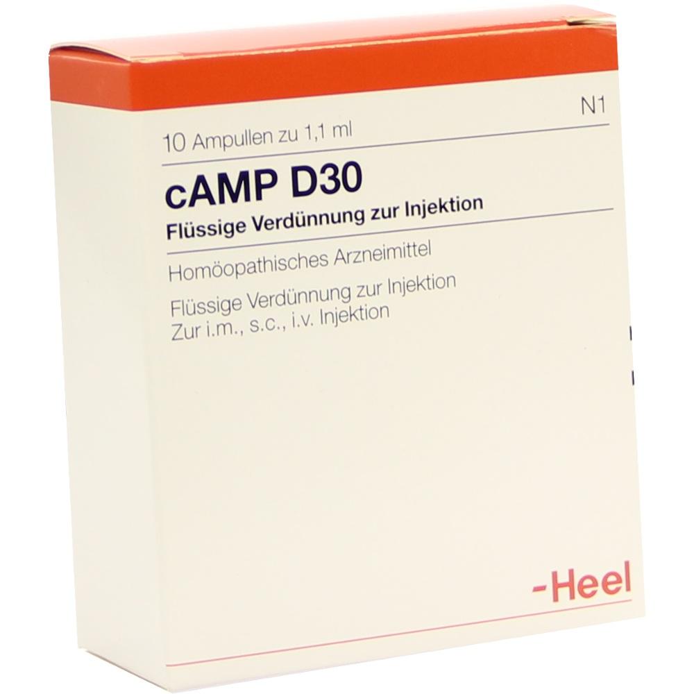 Camp D30 null