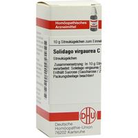 Solidago Virgaurea C200 null