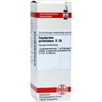 Eupatorium Perf D30 null