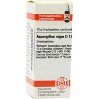 Aspergillus Niger D12 null