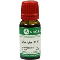 Spongia Arca Lm 6 null