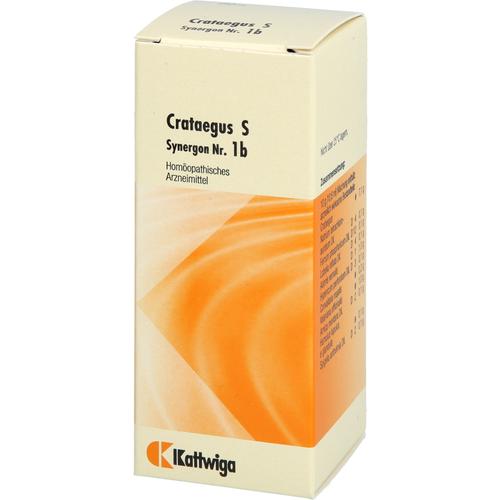 Synergon Komplex Crataegus S Nr. 1B 50 ml Kattwiga Arzneimittel bei onfy.de kaufen 19184741