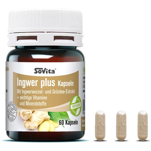 Sovita Ingwer Plus Kapseln 60 St ascopharm bei onfy.de kaufen 16957964