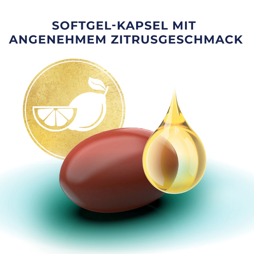 Ocuvite Citicolin 60 St Dr. Gerhard Mann bei onfy.de kaufen 19145149