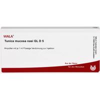 Tunica Mucosa Nasi Gl D 5 null
