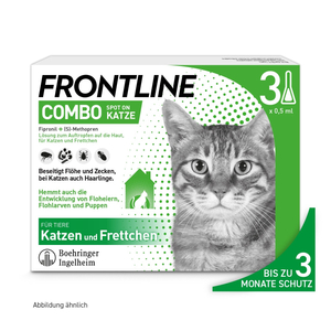 Frontline Combo Spot Katze 17885020