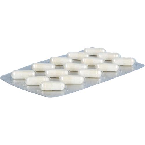 Agnumens Comp 4 mg 60 St Hecht-Pharma bei onfy.de kaufen 19808153