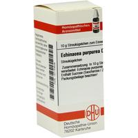 Echinacea Purpur D 4 null