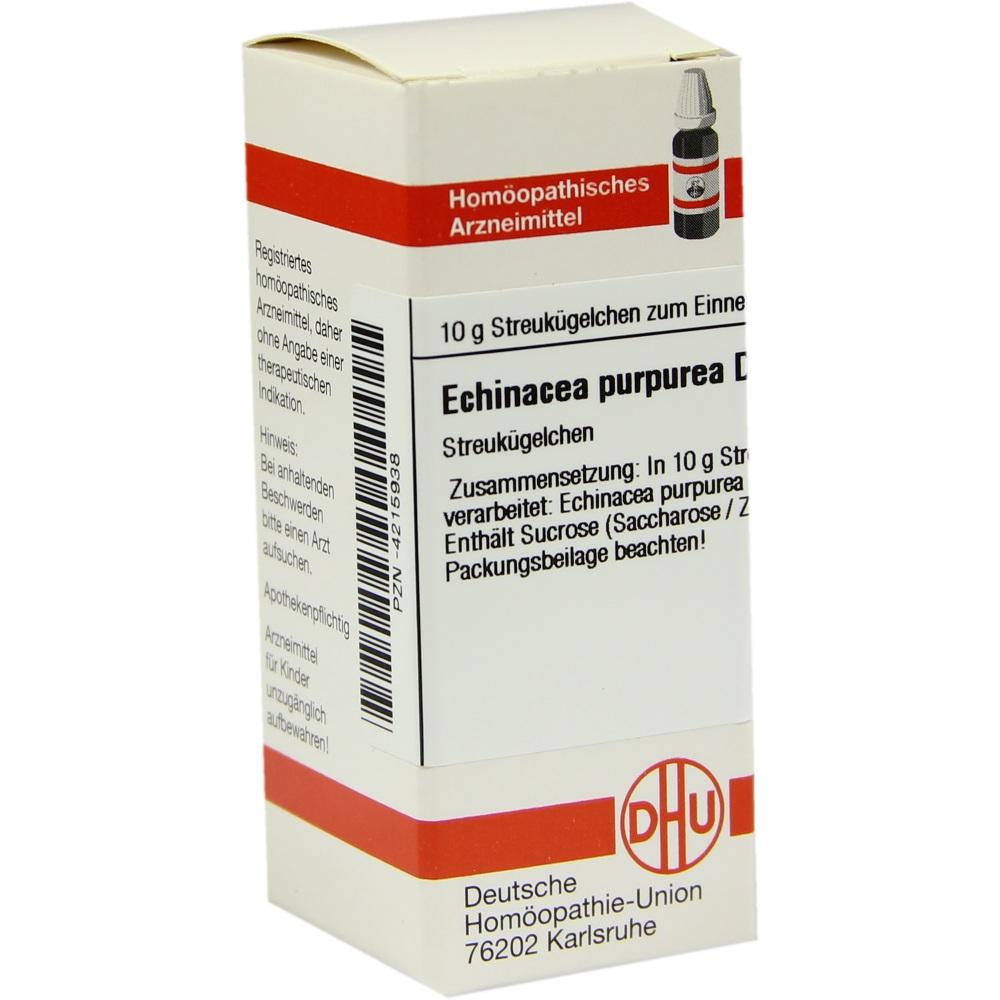 Echinacea Purpur D 4 null