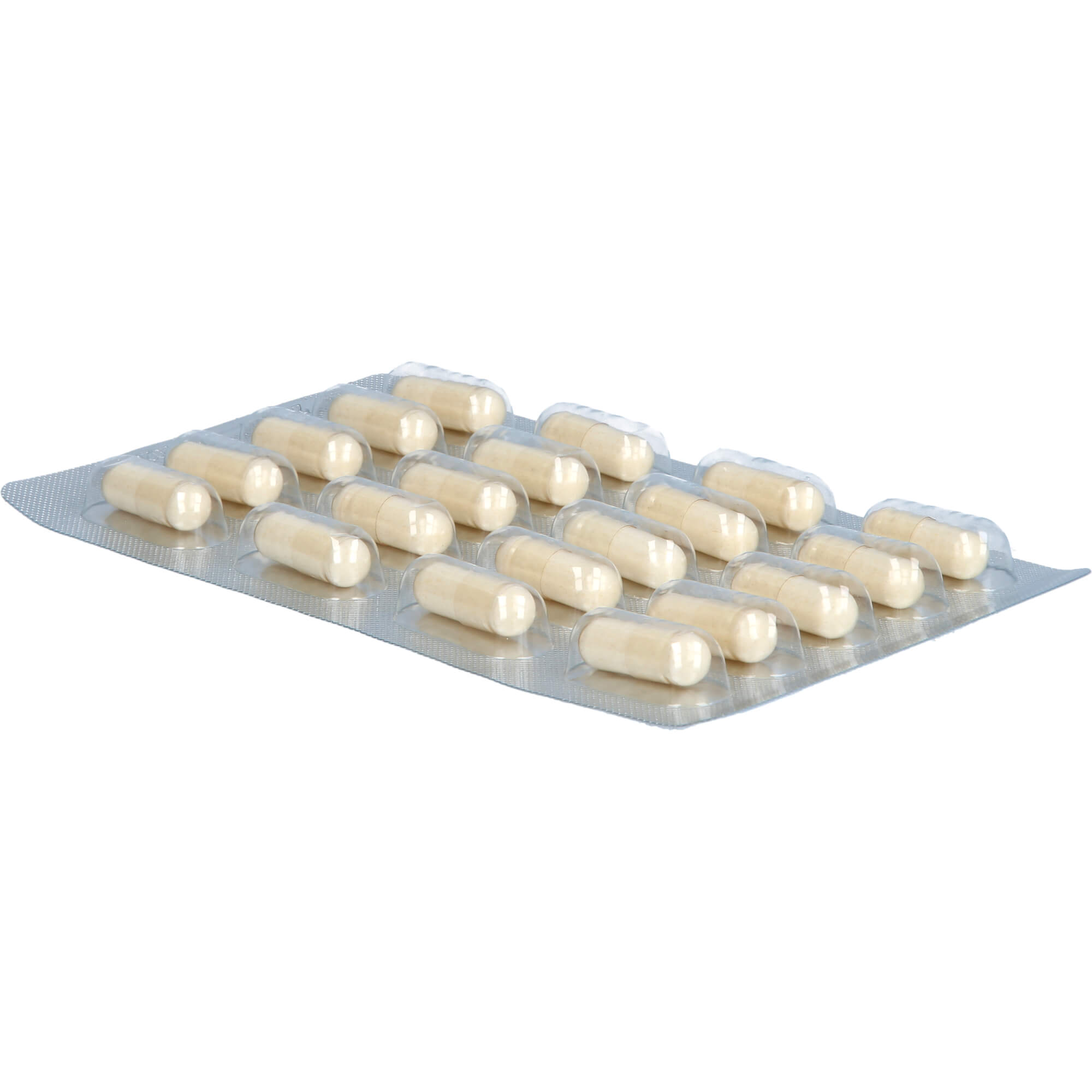Gelencium Glucosamin Chondroitin Hochdos. Vit C 240 St Heilpflanzenwohl bei onfy.de kaufen 19360273