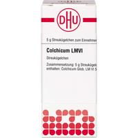 Colchicum Lm Vi null