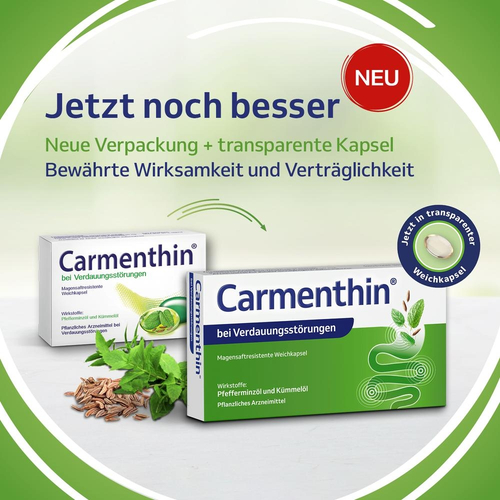Carmenthin bei Verdauungsstörungen Weichkapsel 42 St Dr.Willmar Schwabe bei onfy.de kaufen 10327618
