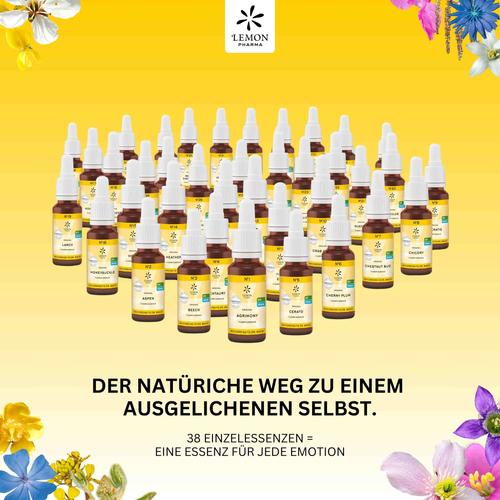 Bachbluete 4 Centaury Bio 20 ml Hager Pharma bei onfy.de kaufen 10310492