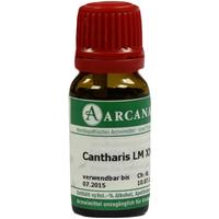 Cantharis Arca Lm 30 null
