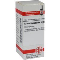 Grindelia Robusta C30 null
