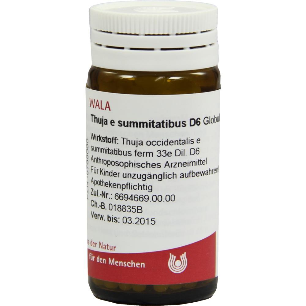 Thuja E Summitatibus D 6 null