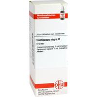 Sambucus Nigra Urt null