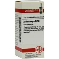 Allium Cepa D30 null