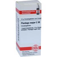 Plantago Major C30 null