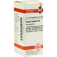 Cicuta Virosa D 6 null