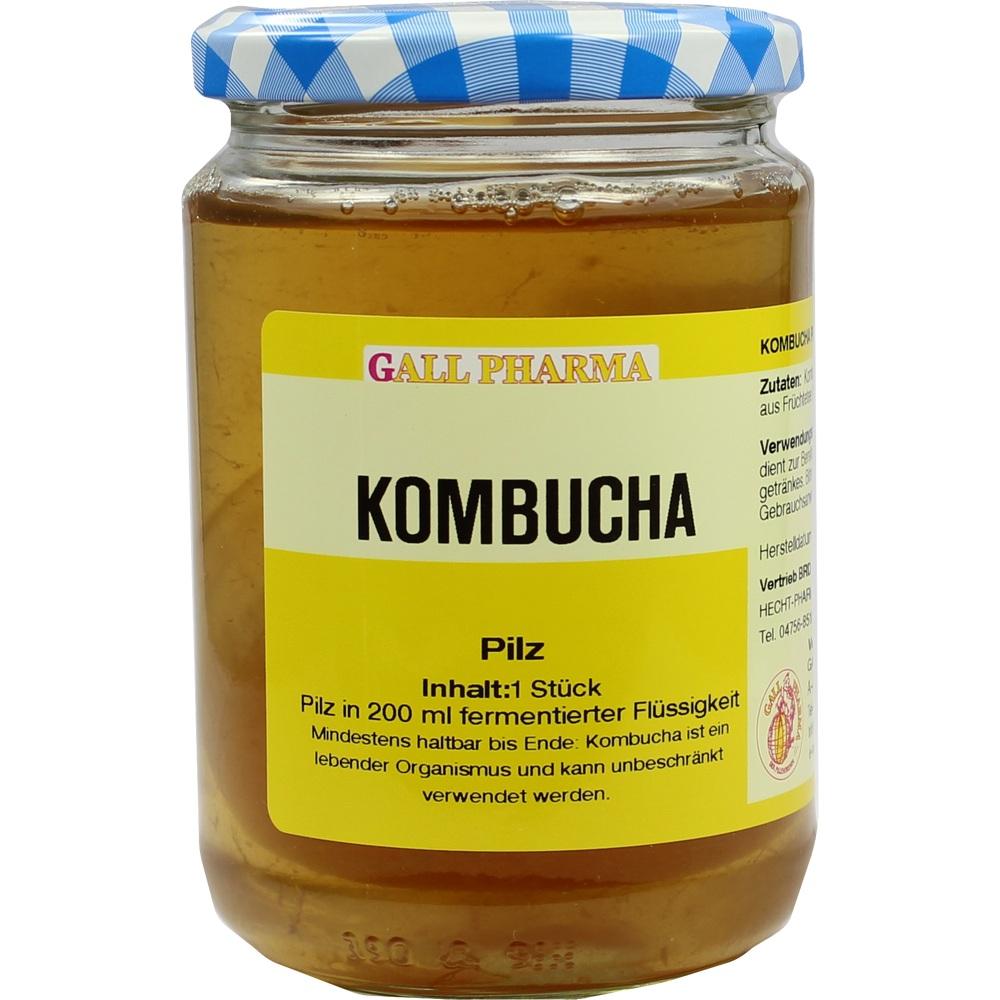 Kombucha Teepilz
