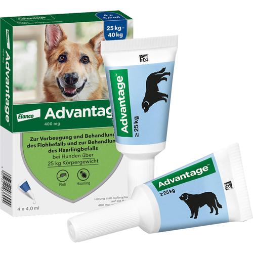 Advantage 400 Hund Pipette 1x4 St Elanco Deutschland Gmbh bei onfy.de kaufen 00334178