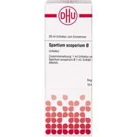 Spartium Scoparium Urt null