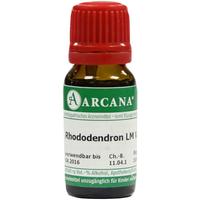 Rhododendron Arca Lm 6 null
