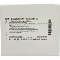 Bryophyllum D 5 Con D 7 null