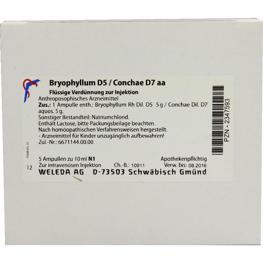 Bryophyllum D 5 Con D 7 null