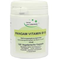 Pangam Vitamin B15 Vegi Kapseln null