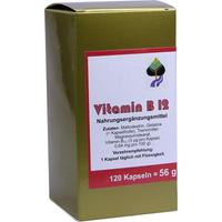 Vitamin B12 null
