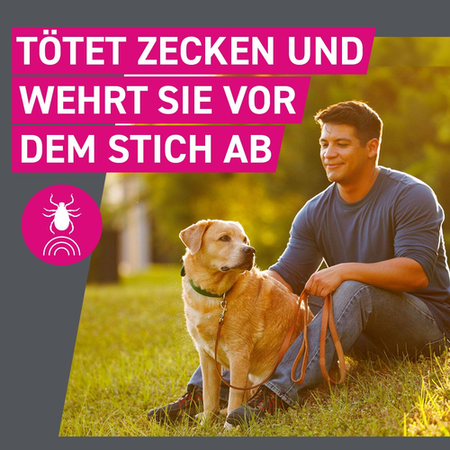 Frontline Tri-Act Hu 10-20 6 St Boehringer Ingelheim Vetmedica Gmbh bei onfy.de kaufen 16359884