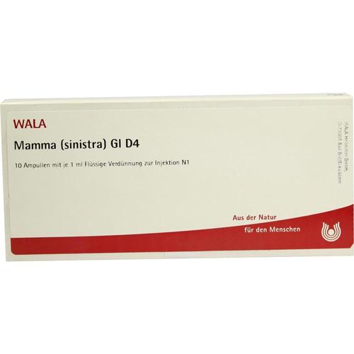 Mamma (sinistra) Gl D 4 10x1 ml WALA Heilmittel bei onfy.de kaufen 02883340
