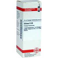 Silicea D30