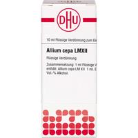 Allium Cepa Lm Xii null