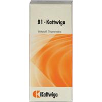 B1-Kattwiga
