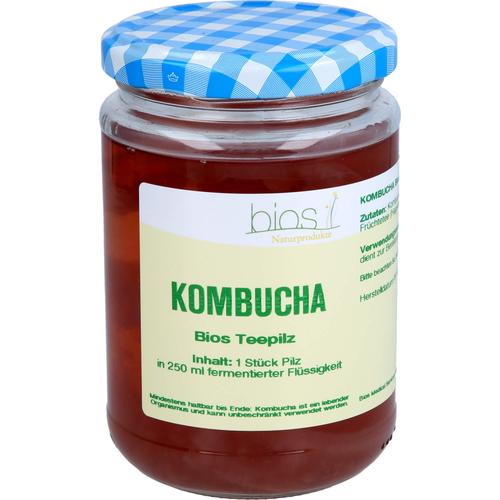 Kombucha Bios Teepilz 1 St Bios Medical Services bei onfy.de kaufen 00964488