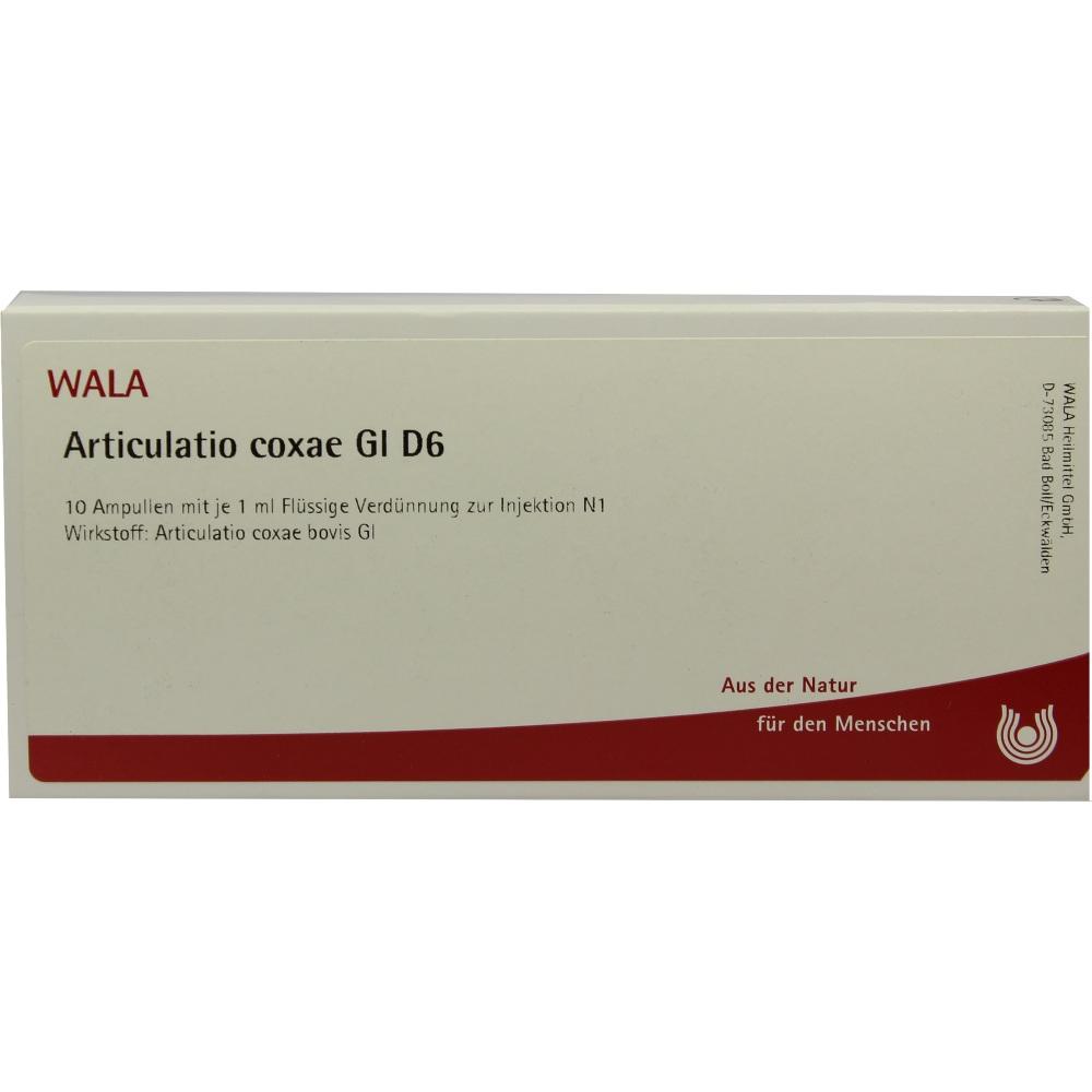Articulatio Coxae Gl D 6