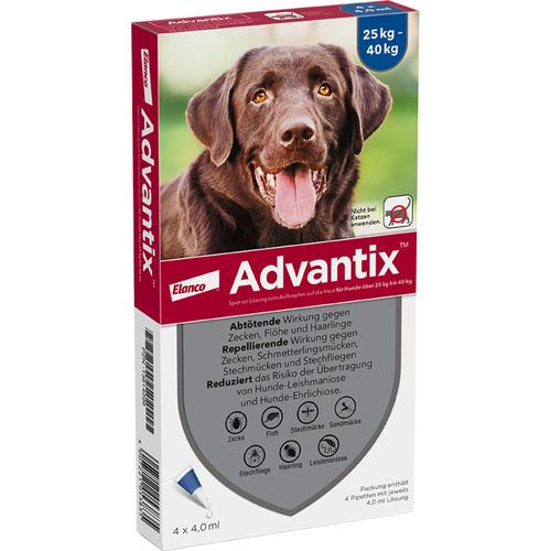Advantix Spot-On Hund25-40 4x4.0 ml Elanco Deutschland Gmbh bei onfy.de kaufen 13814299