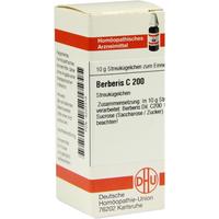 Berberis C200 null