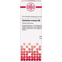 Equisetum Arv D 6 null