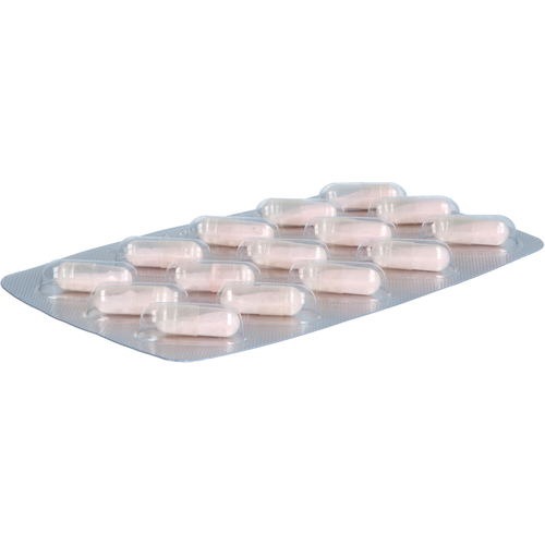 B12 Activ 1000Ug Kapseln 120 St Leitner Lifecare bei onfy.de kaufen 18458225