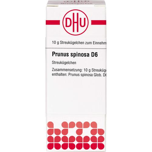 Prunus Spinosa D6 10 g DHU-Arzneimittel bei onfy.de kaufen 16693301