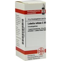 Lobelia Inflata C30 null