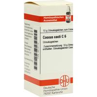 Coccus Cacti C 6 null