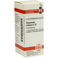 Dioscorea Villos D12 null