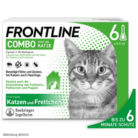 Frontline Combo Spot Katze null