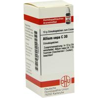 Allium Cepa C30 null